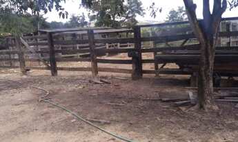 Imagem 6: Ótima Fazenda próximo a Brasília DF pronta para criação de gado // 25 AQUEIRES (São 121 h