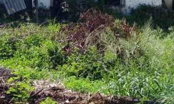 Imagem 2: Penha - Terreno murado 16x40m², plano (14.60m² de frente, 17m² de fundos por 40m² de ambo