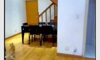 Imagem 6: Excelente cobertura duplex com 3 quartos, salão, cozinha, banheiro, área, 3 banheiros, áre