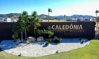 Imagem 3: Terreno para Venda no caledônia em Camboriú