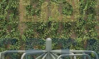 Imagem 6: Pré-Lançamento Imperdível em Camboriú: Clearwater Residence