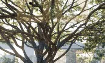 Imagem 3: Terreno para Venda no Pré - Lançamento Ilha de Malta em Camboriú