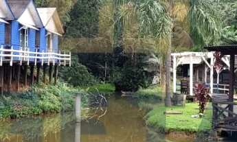 Imagem 2: Sítio / Chácara para Venda no bairro Rio do Meio em Camboriú