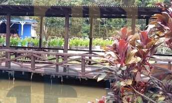 Imagem 3: Sítio / Chácara para Venda no bairro Rio do Meio em Camboriú