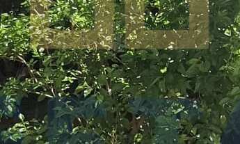 Imagem 2: Terreno à venda com duas casas – Bairro Lídia Duarte