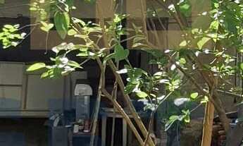 Imagem 3: Terreno à venda com duas casas – Bairro Lídia Duarte