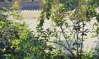 Imagem 5: Terreno à venda com duas casas – Bairro Lídia Duarte