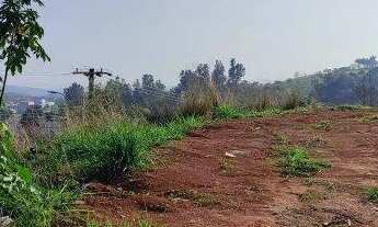 Imagem 7: Terreno, com zoneamento industrial de frente para rodovia