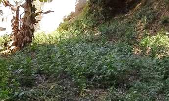 Imagem: Terreno em Condomínio à venda em Itatiba