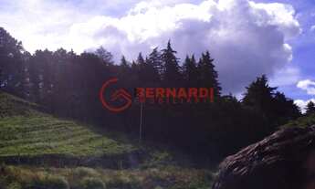 Imagem: Chácara Terreno Rural Caxias do Sul - RS