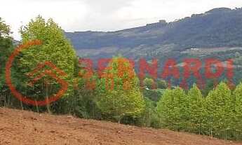 Imagem 6: CHÁCARA EM BENTO GONÇALVES