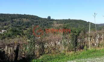 Imagem 5: Chácara Terreno Rural Caxias do Sul - RS - linha feijo