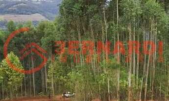 Imagem 7: CHÁCARA EM BENTO GONÇALVES