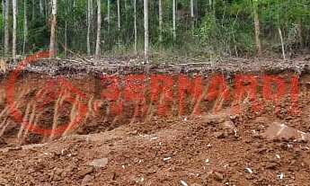 Imagem 2: CHÁCARA EM BENTO GONÇALVES