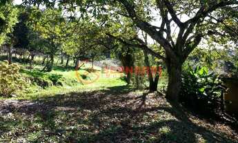 Imagem 7: Chácara Terreno Rural Caxias do Sul - RS - linha feijo