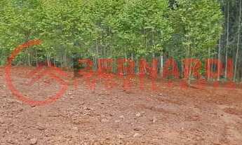 Imagem: CHÁCARA EM BENTO GONÇALVES