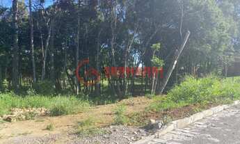 Imagem: TERRENO A VENDA EM CAXIAS DO SUL