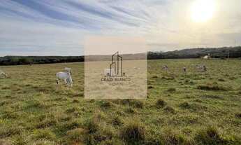 Imagem: Oportunidade Única de Área em Araçoiaba