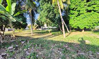 Imagem: Atenção construtores ! Excelente Chácara