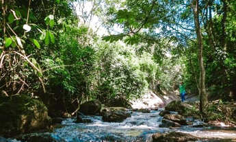 Imagem 7: Sítio à venda, 9.104,47 m² - Rota da Ferradura - Boa Esperança - Guarapari/ES