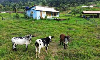 Imagem 5: Sítio com casa de 3 quartos, 8.375,74m² de terreno , à venda em São João de Jabuti em Guar