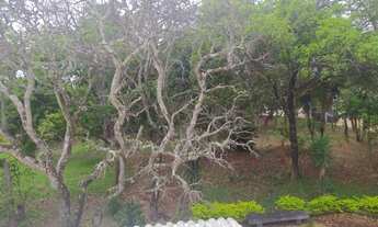 Imagem 7: Casa de Campo Casa com 4 dormitórios