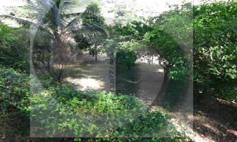 Imagem 5: Casa no C3 Iguaçu