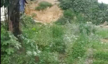 Imagem 4: Excelente lote 15×24,no Canaã