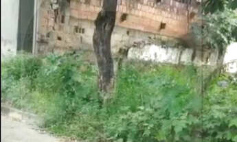 Imagem 3: Excelente lote 15×24,no Canaã