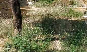 Imagem: Excelente lote 15×24,no Canaã