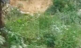 Imagem 5: Excelente lote 15×24,no Canaã