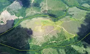 Imagem 2: Área Rural à Venda – 92,55 Hectares