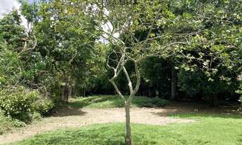 Imagem 5: Terreno em condomínio em Aldeia com apenas 18 lotes e super área de lazer