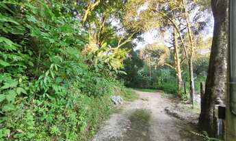 Imagem 4: Sitio - Vila Principal