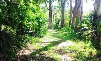 Imagem 5: Sitio - Piraí Chácara com 5 dormitórios