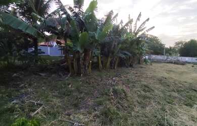 Imagem 7: Terreno - Pinheiral