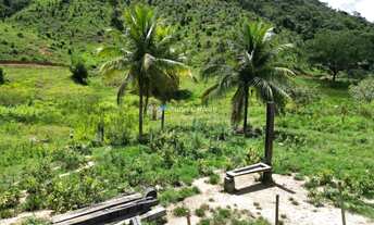 Imagem 5: Fazenda à venda em Ipanema, Tabajara, 18Alqueires Mineiro