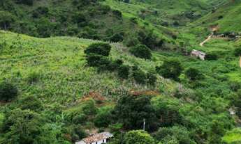 Imagem 4: Fazenda de 6,0alq, as margens da BR-116