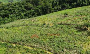 Imagem 5: Fazenda de 6,0alq, as margens da BR-116