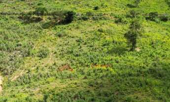 Imagem 7: Fazenda de 6,0alq, as margens da BR-116