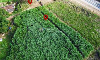 Imagem 5: Lote à venda em Inhapim, BR-116, 1250m²