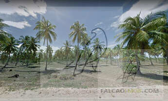 Imagem 2: Terreno para Venda em Conde / BA no bairro Sítio do Conde - Conde-Ba