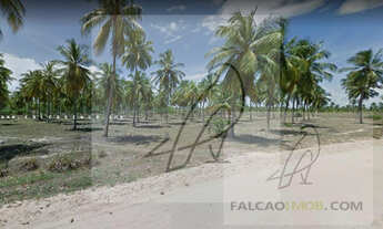 Imagem 3: Terreno para Venda em Conde / BA no bairro Sítio do Conde - Conde-Ba
