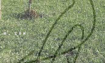 Imagem 5: Terreno para Venda em Conde / BA no bairro Sítio do Conde - Conde-Ba