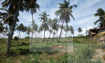 Imagem: Terreno para Venda em Conde / BA no bairro