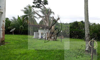 Imagem 5: Sítio para Venda em Salvador / BA no bairro Cassange