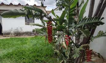 Imagem 6: Vende barracao jardim noêmia em franca