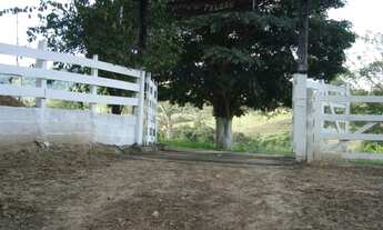 Imagem 5: Vende sitio próximo a capetinga em capetinga