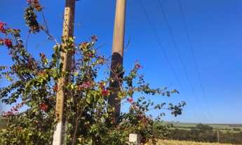 Imagem: Vende sitio em ituverava