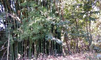 Imagem 7: Vende sitio rural em igaçaba